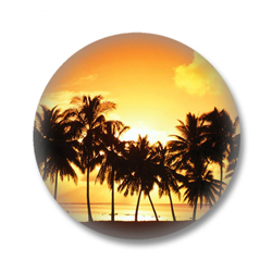 Palmenstrand Button