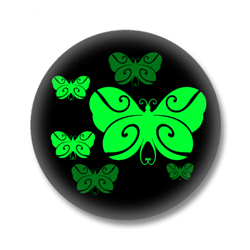 Schmetterling 06