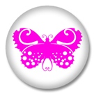 Schmetterling 20