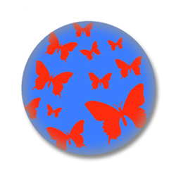 Schmetterling 27