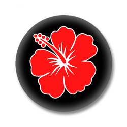 Roter Hibiskus Button Badge / Ansteckbutton